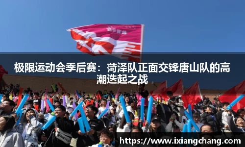 球信网APP
