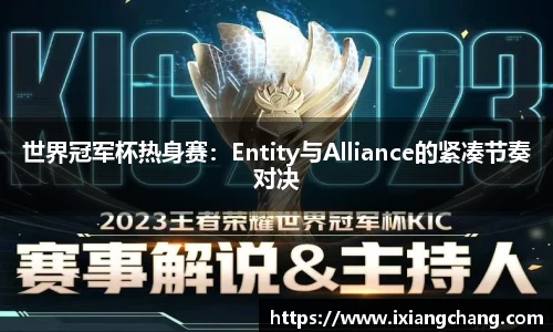球信网平台