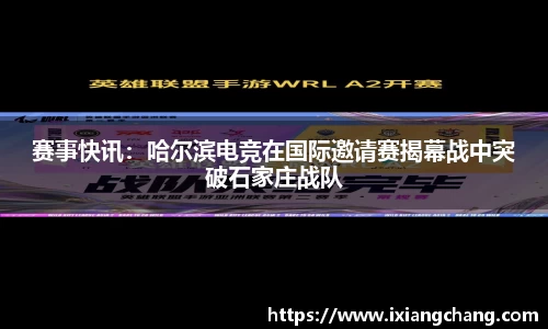 球信网平台