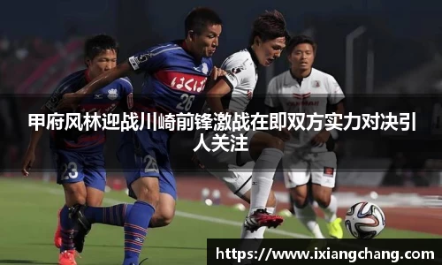 球信网平台